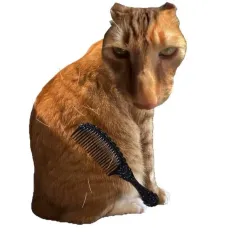 Play Brush Jjaemu Game