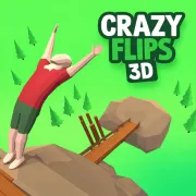 Play Crazy Flips 3D Game