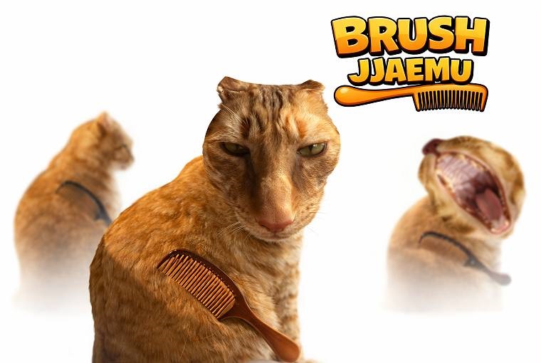 how to play Brush Jjaemu