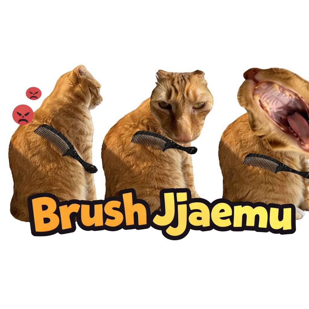How To Play Brush Jjaemu Game